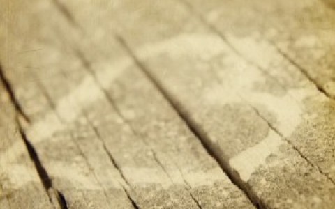 circumcision, circumcision of the heart,