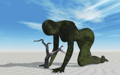 climate change, koch brothers, pantheism, extreme environmentalism, Al Gore