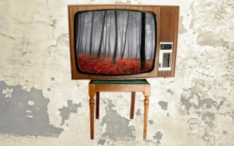 mass media, mainstream media, media bias, media slant, fair and balanced, two witnesses, revelation 11