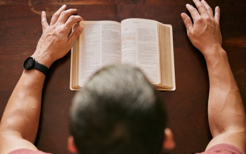 Man studying the Bible