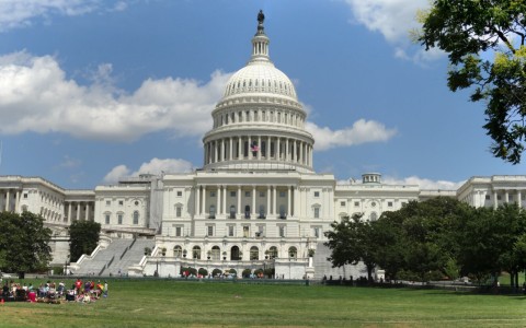 The Capitol in Washington DC