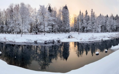 snowy-park-landscape