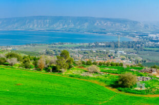 The Sea of Galilee
