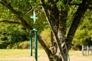 Wind Chimes, Winds of Adversity Ring the chimes